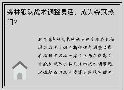 森林狼队战术调整灵活，成为夺冠热门？